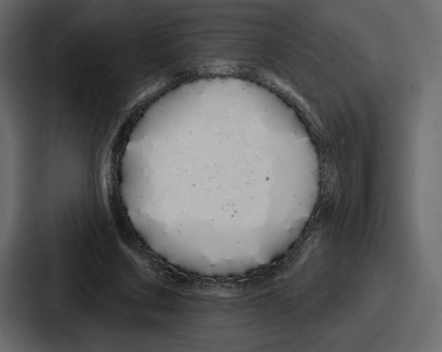 X0000086780683200705111755