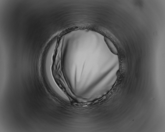 X0000086780684200705111755