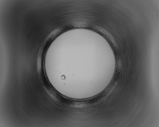 X0000086780686200705111755