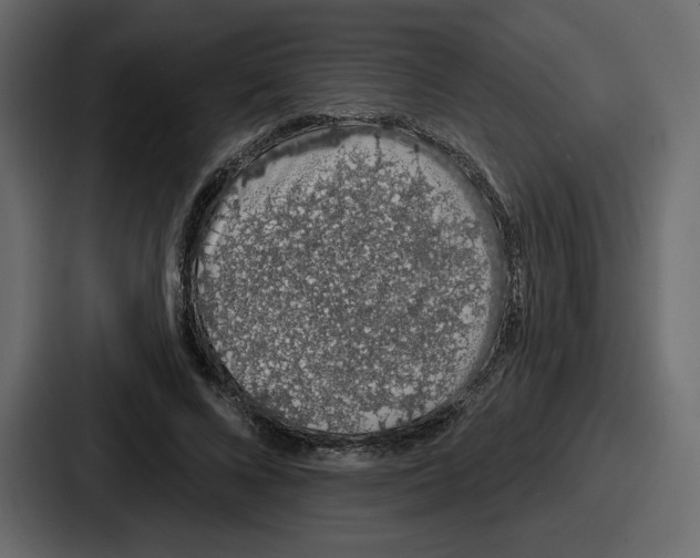 X0000086780688200705111755