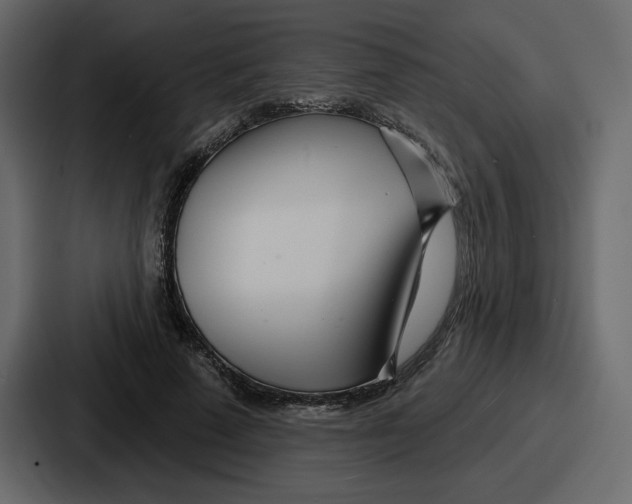 X0000086780689200705111755