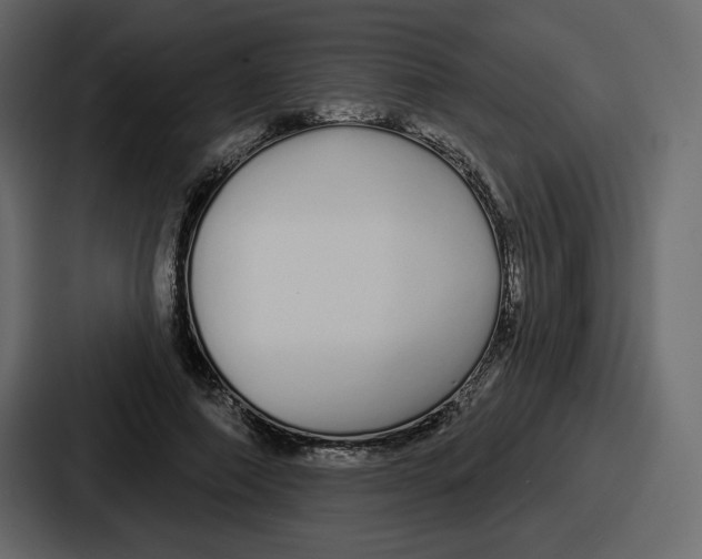 X0000086780690200705111755