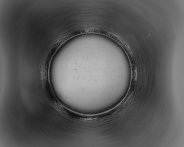 X0000086780691200705111755