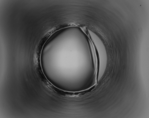 X0000086780692200705111755