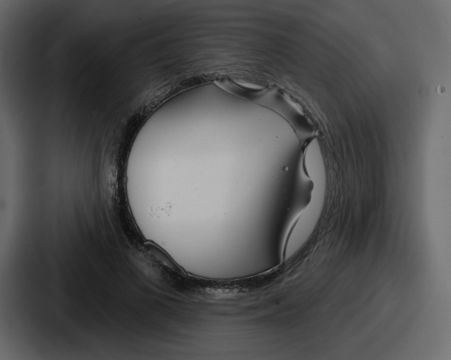 X0000086780693200705111755