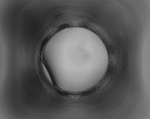 X0000086780694200705111755