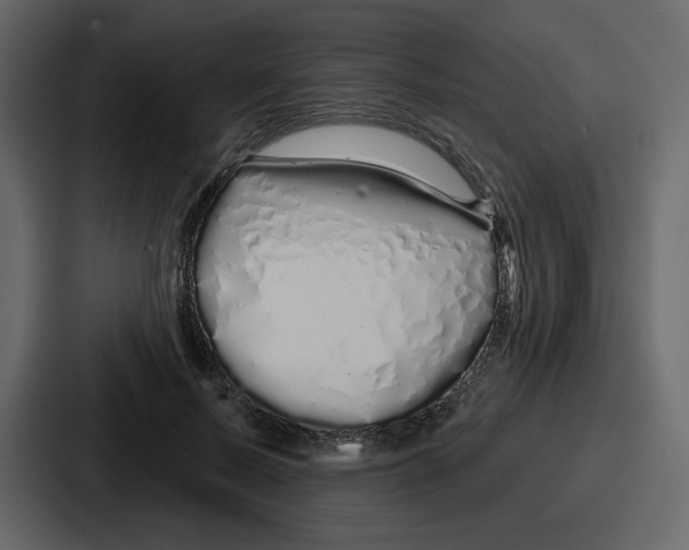 X0000086780695200705111755