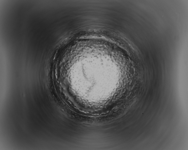 X0000086780696200705111755