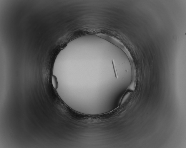 X0000086780697200705111755