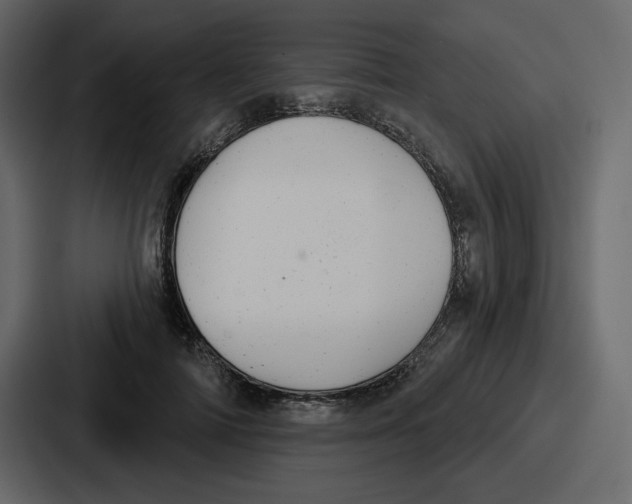 X0000086780698200705111755