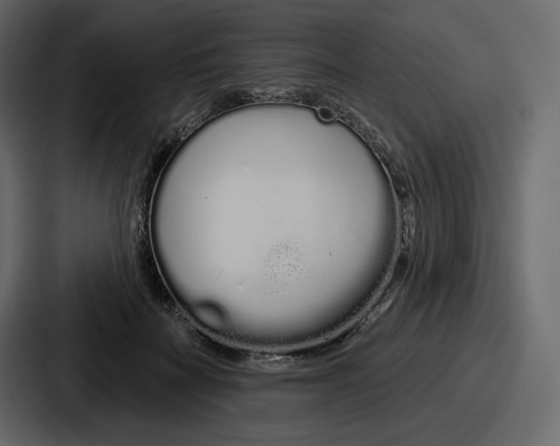 X0000086780699200705111755