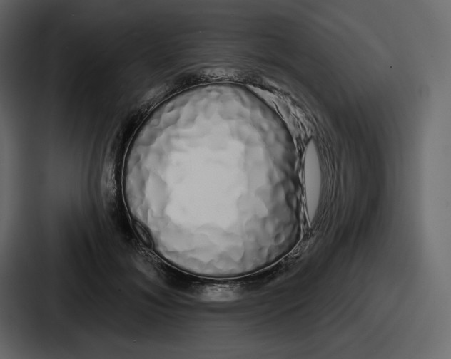 X0000086780700200705111755