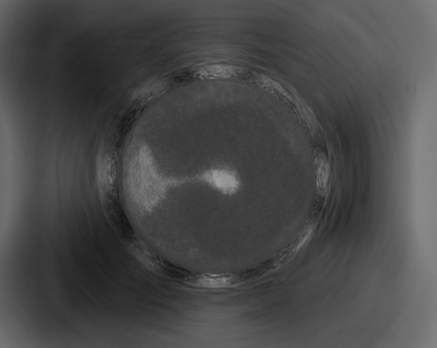 X0000086780701200705111755