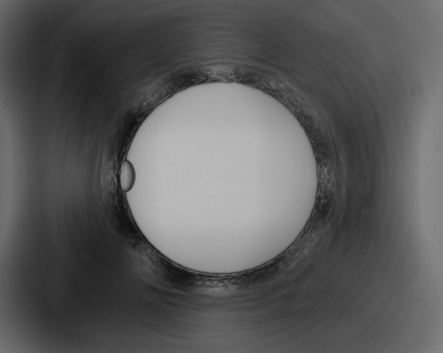 X0000086780702200705111755