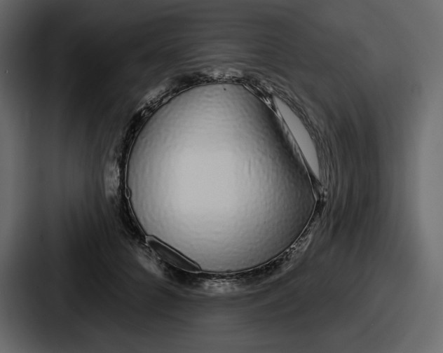 X0000086780704200705111755