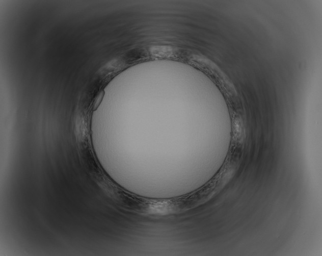 X0000086780705200705111755