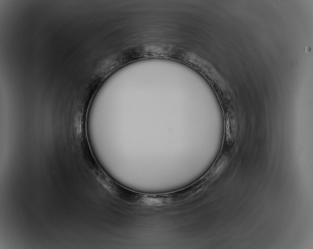 X0000086780706200705111755