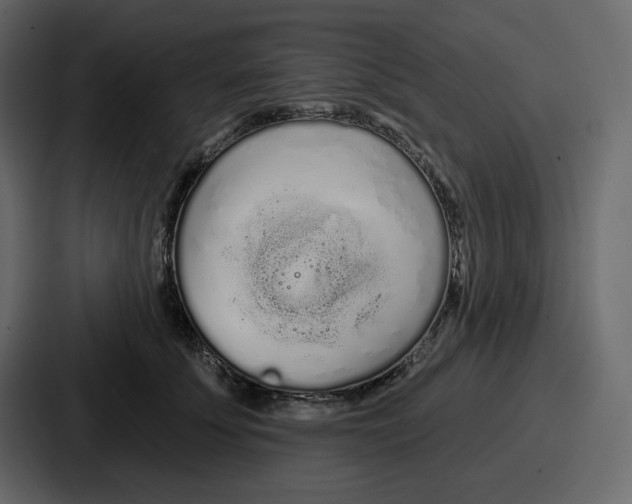 X0000086780707200705111755