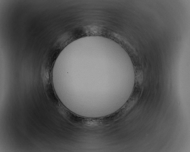 X0000086780709200705111755