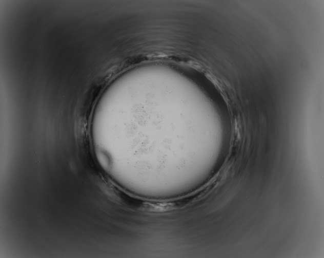 X0000086780711200705111755