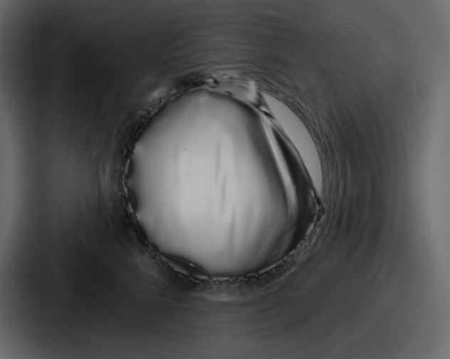 X0000086780712200705111755