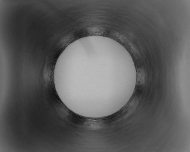 X0000086780713200705111755