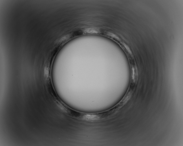 X0000086780714200705111755