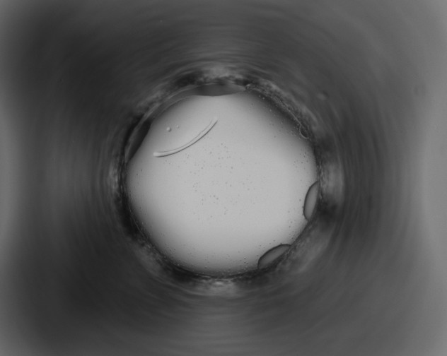 X0000086780715200705111755