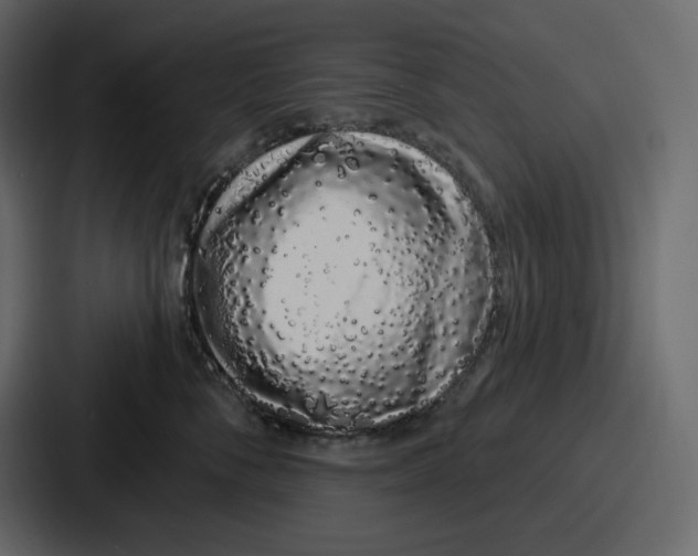 X0000086780716200705111755