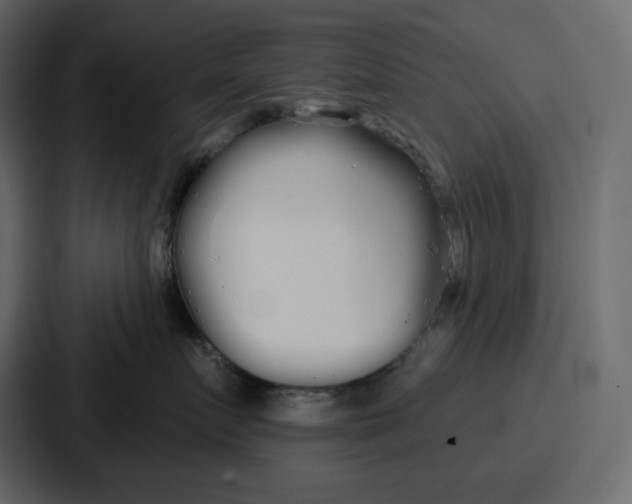 X0000086780719200705111755