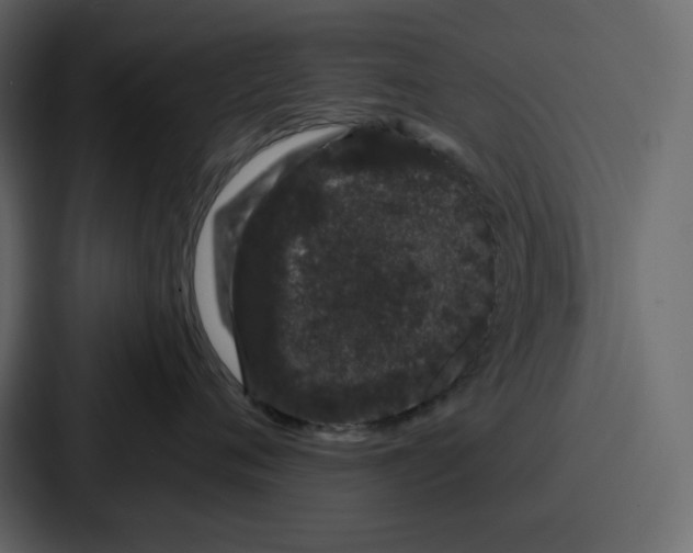 X0000086780720200705111755