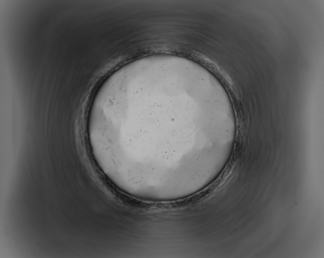 X0000086780721200705111754