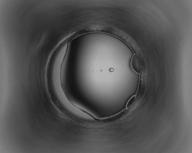 X0000086780722200705111754