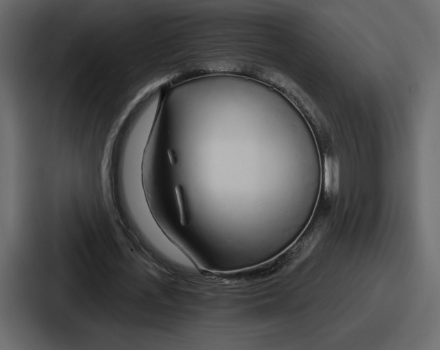 X0000086780723200705111754