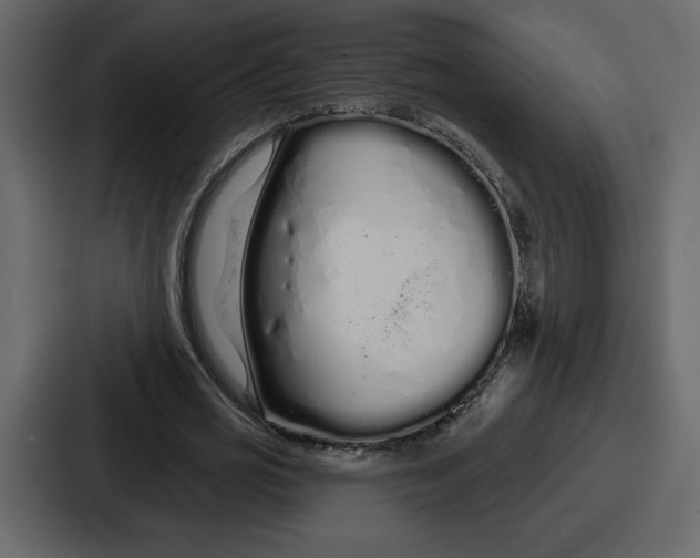 X0000086780725200705111754