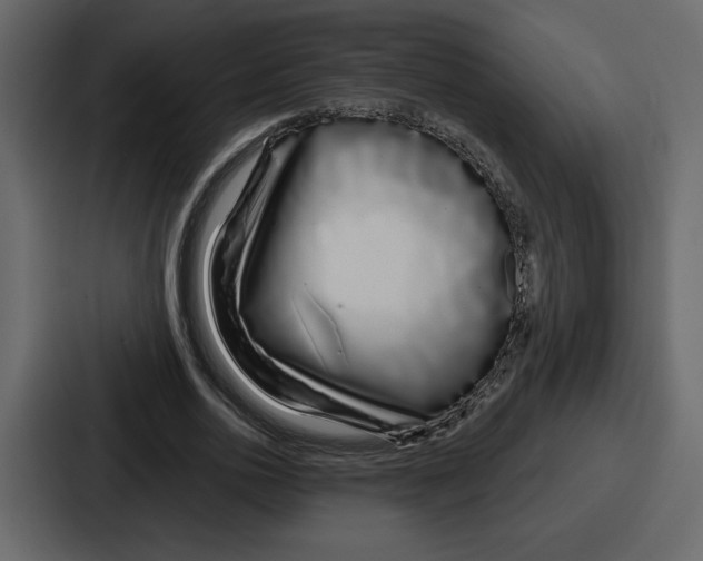 X0000086780726200705111754