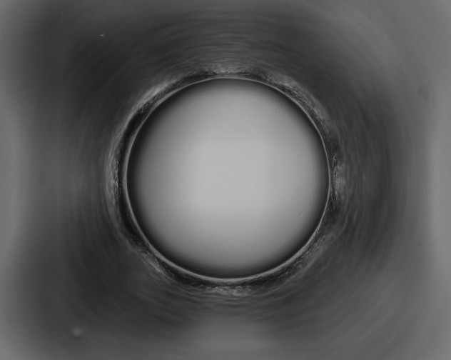 X0000086780727200705111754