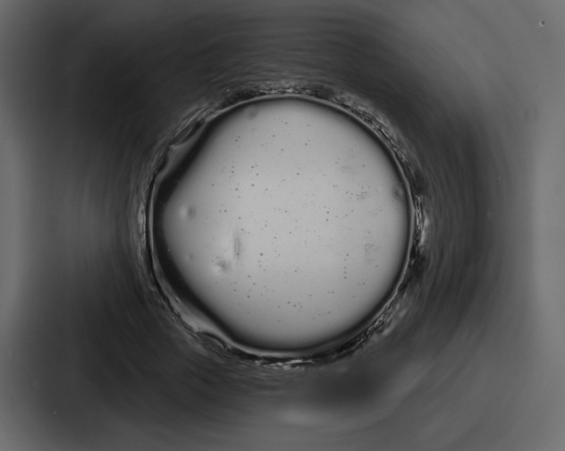 X0000086780729200705111754