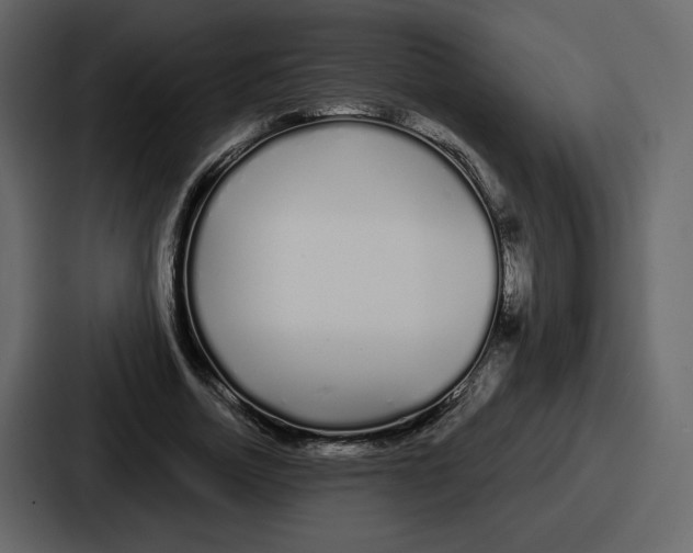 X0000086780730200705111754