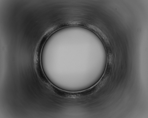 X0000086780731200705111754