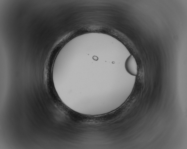 X0000086780732200705111754