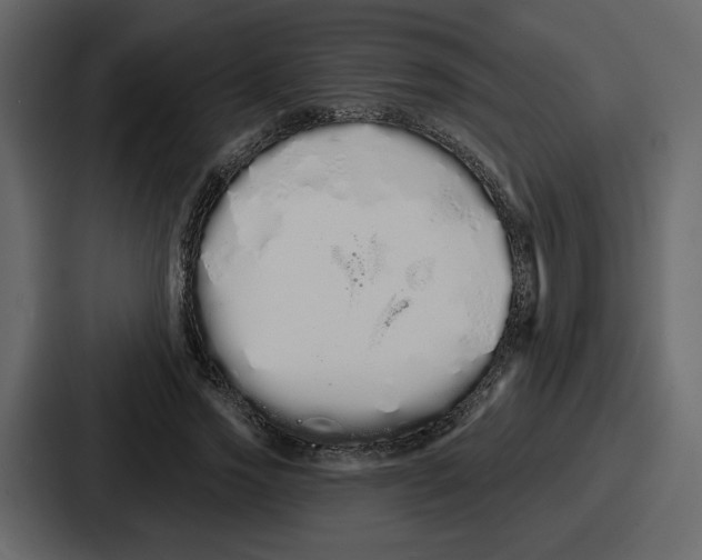 X0000086780733200705111754