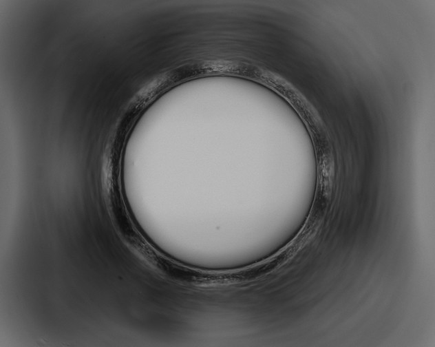 X0000086780734200705111754