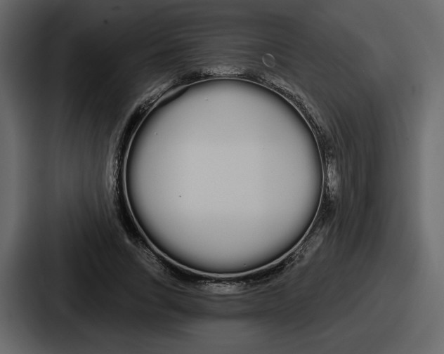 X0000086780735200705111754