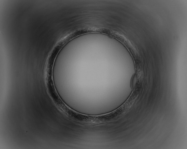 X0000086780736200705111754