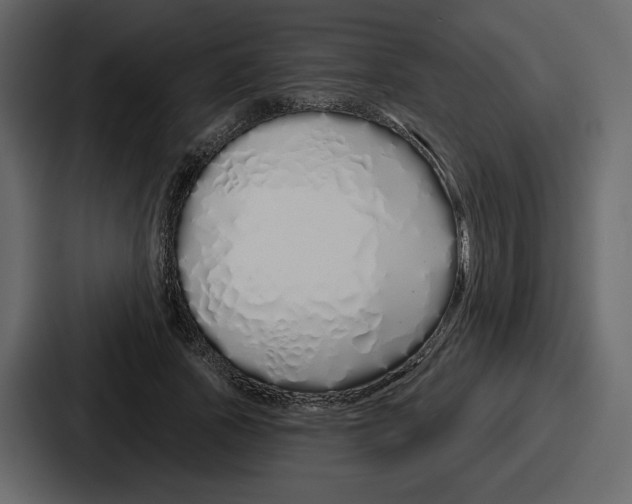 X0000086780737200705111754