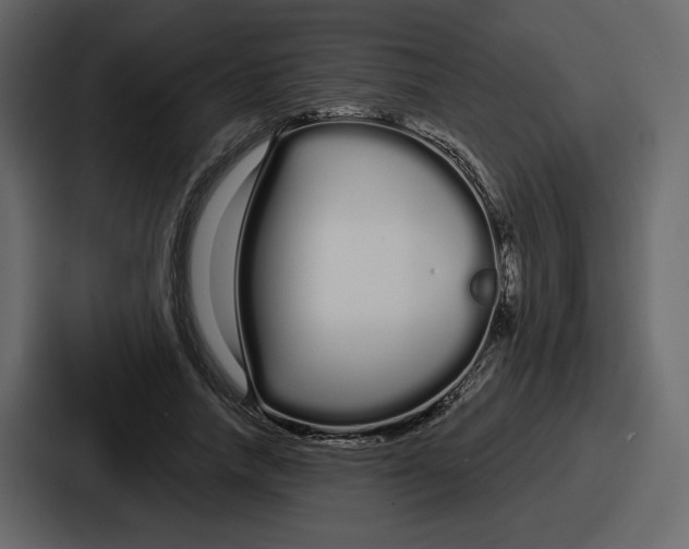 X0000086780738200705111754