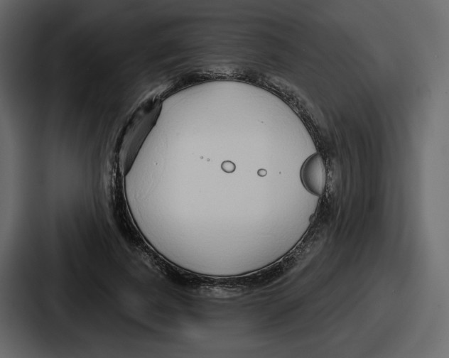 X0000086780739200705111754