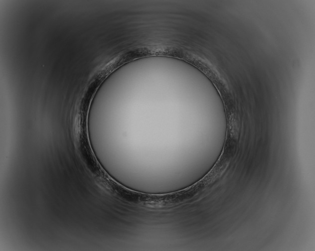 X0000086780740200705111754