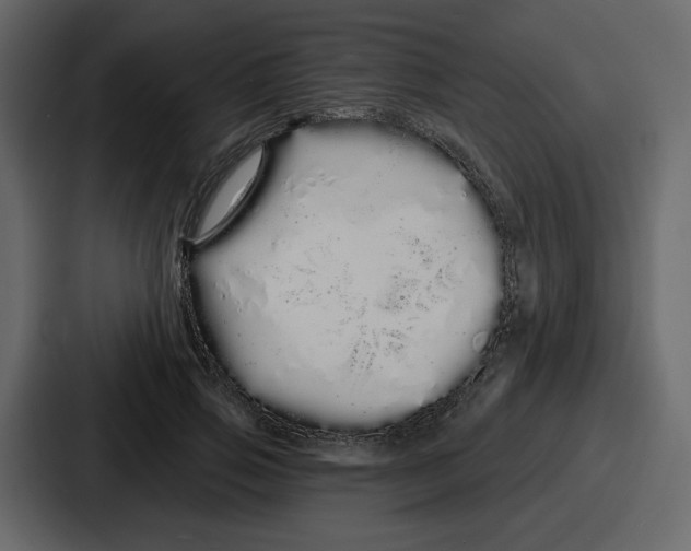 X0000086780741200705111754